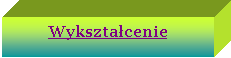 Pole tekstowe: Wyksztacenie